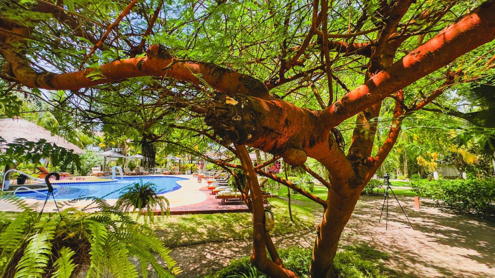 Hotel Casa Acayu